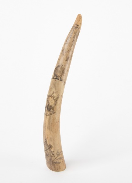 Tusk with Scrimshaw Masonic Symbology