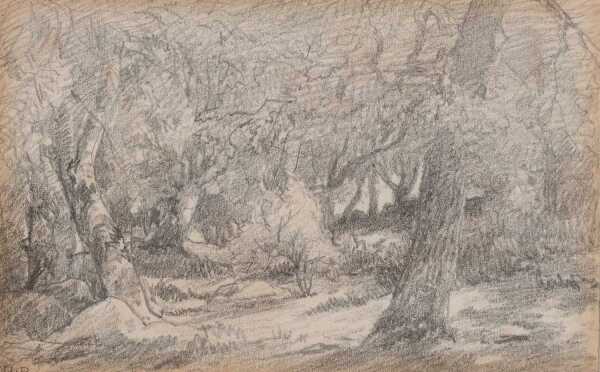 Th&eacute;odore Rousseau