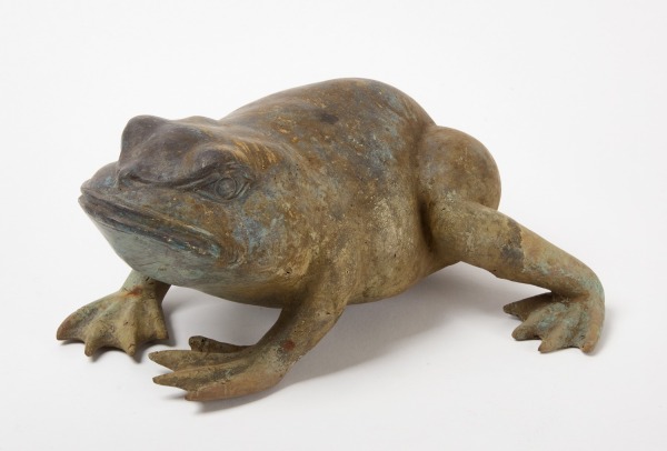 Garden Frog