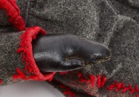 Black Rag Doll - 4