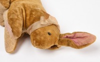 Steiff Floppy Ear Rabbit - 5