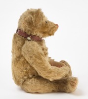 Early Steiff Bear with Collar - RTC - 3