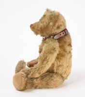 Early Steiff Bear with Collar - RTC - 5