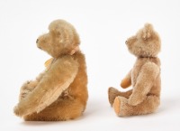 Two Steiff Bears - 3