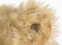 Steiff Bear Toy - 3