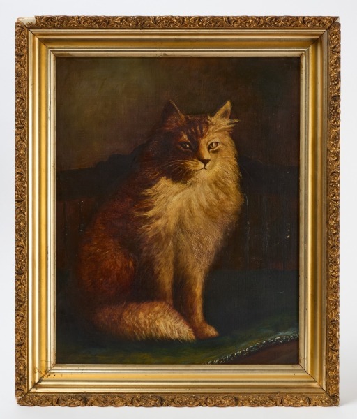 Portrait of a Cat