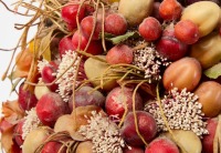 Doris Stauble - Still Life Arrangement - 3
