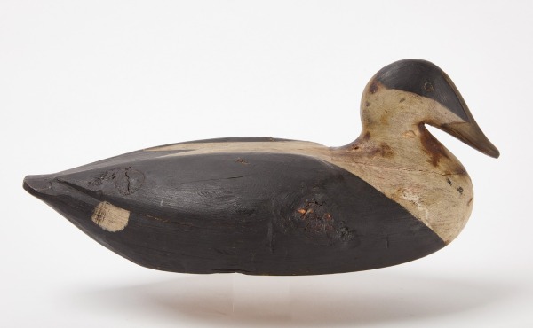 Gus Wilson Eider Decoy