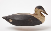 Gus Wilson Eider Decoy
