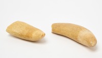 Two Sperm Whale Teeth - 4