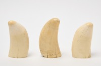 Group of Three Whale Teeth - 2