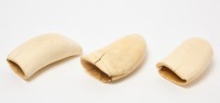 Group of Three Whale Teeth - 3