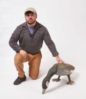 Oversized Folk Art Goose Decoy - 2