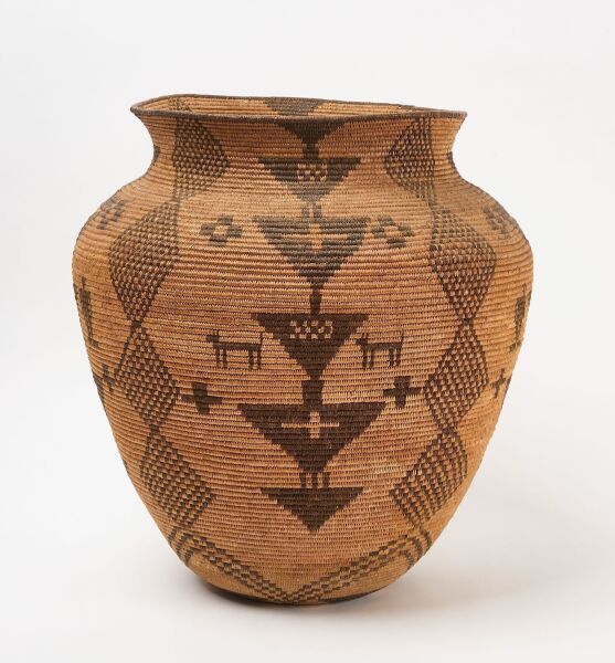 Large Apache Olla