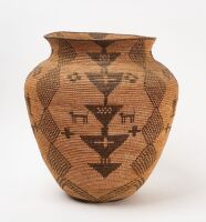 Large Apache Olla