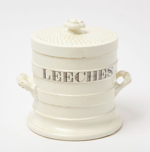 Handled Leeches Jar