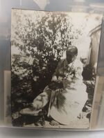 Collection of Medical and Oddity Photographs, Ephemera, Glass Slides - 7