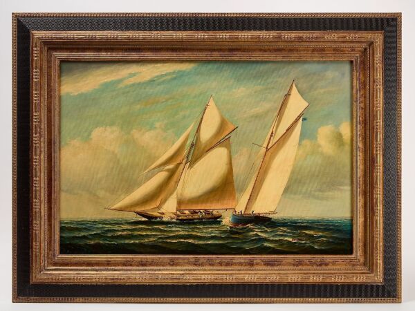 D. Tayler - Schooner Race