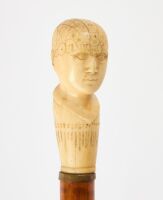 Phrenology Head Walking Stick