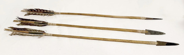 Three Native American Arrows