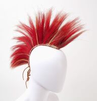 Native Hair Roach