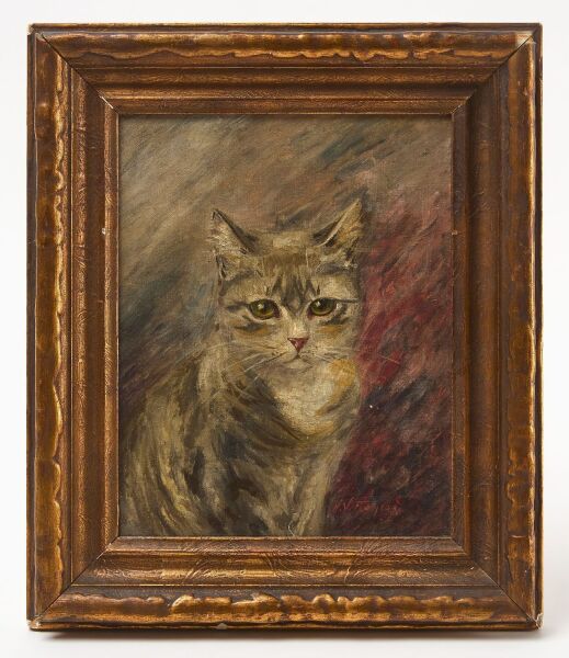 N. V. Furness - Portrait of a Cat