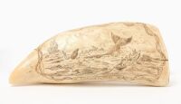 Scrimshaw Whale Tooth - Capturing the Whale