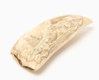 Scrimshaw Whale Tooth - Capturing the Whale - 3
