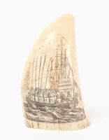 Scrimshaw Whale Tooth