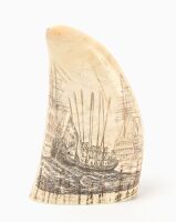 Scrimshaw Whale Tooth - 2