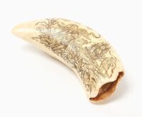 Scrimshaw Whale Tooth - The Queen of the Sea - 3