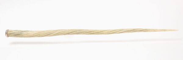 Narwhal Tusk Walking Stick