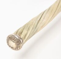 Narwhal Tusk Walking Stick - 3
