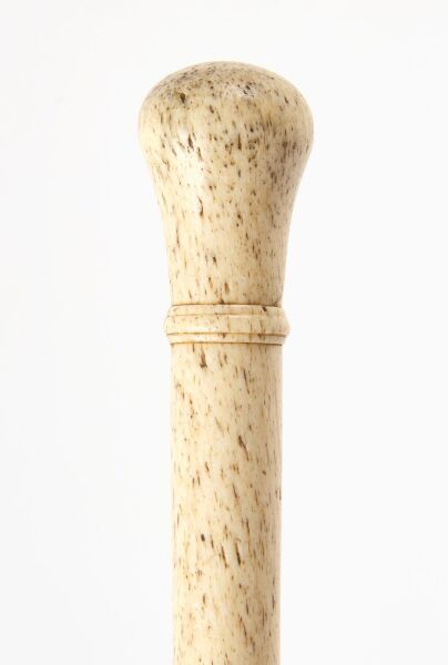 Scrimshaw Walking Stick