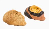 Life Mask of Sioux 'Standing Cloud', with Replica - 2