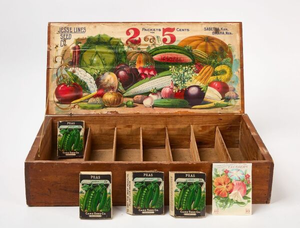 Wooden Seed Display Box