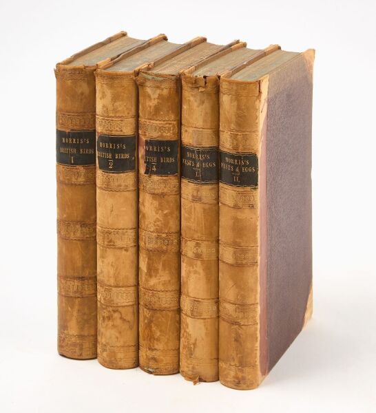 History of British Birds and Bird's Nests and Eggs 100's Of Colored Plates