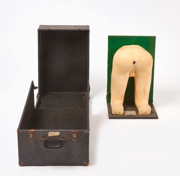 Proctology Training Model