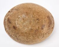 Native Carved Burl Bowl - 3