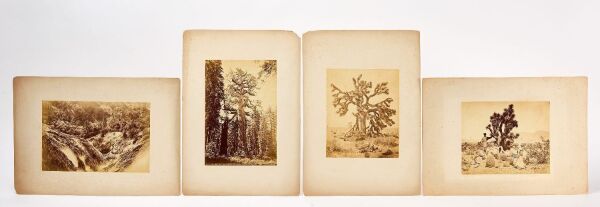 Four Outdoor Photographs by Carleton Watkins