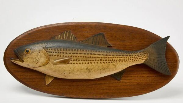 Striped Bass Fish Plaque