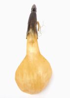 Northwest Coast Horn Effigy Spoon - 3