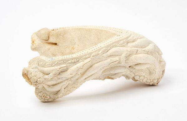 Walrus Jaw Bone Cribbage Board