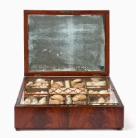 Captain Nathaniel Clift Sea Shell Presentation Box