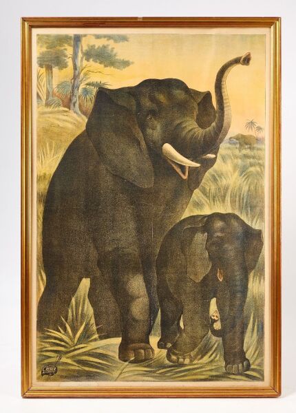 Large Lithograph of Safari Elephants