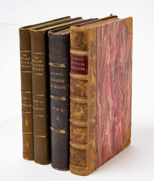 Botanical Magazines With 114 Excellent Plates And A Classic Flower Garden Book