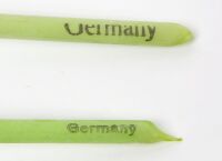 Group of German Blown Glass Tulips - 2