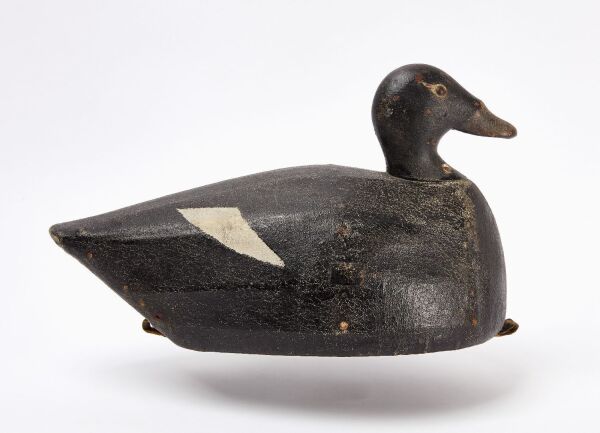 Joe Lincoln Scoter Decoy