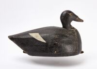 Joe Lincoln Scoter Decoy