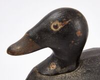 Joe Lincoln Scoter Decoy - 3